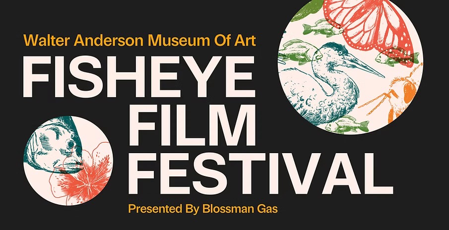A black Fisheye Film Festival poster shows large white lettering, yellow sponsor text and circular illustrations of animals, flowers and insects.