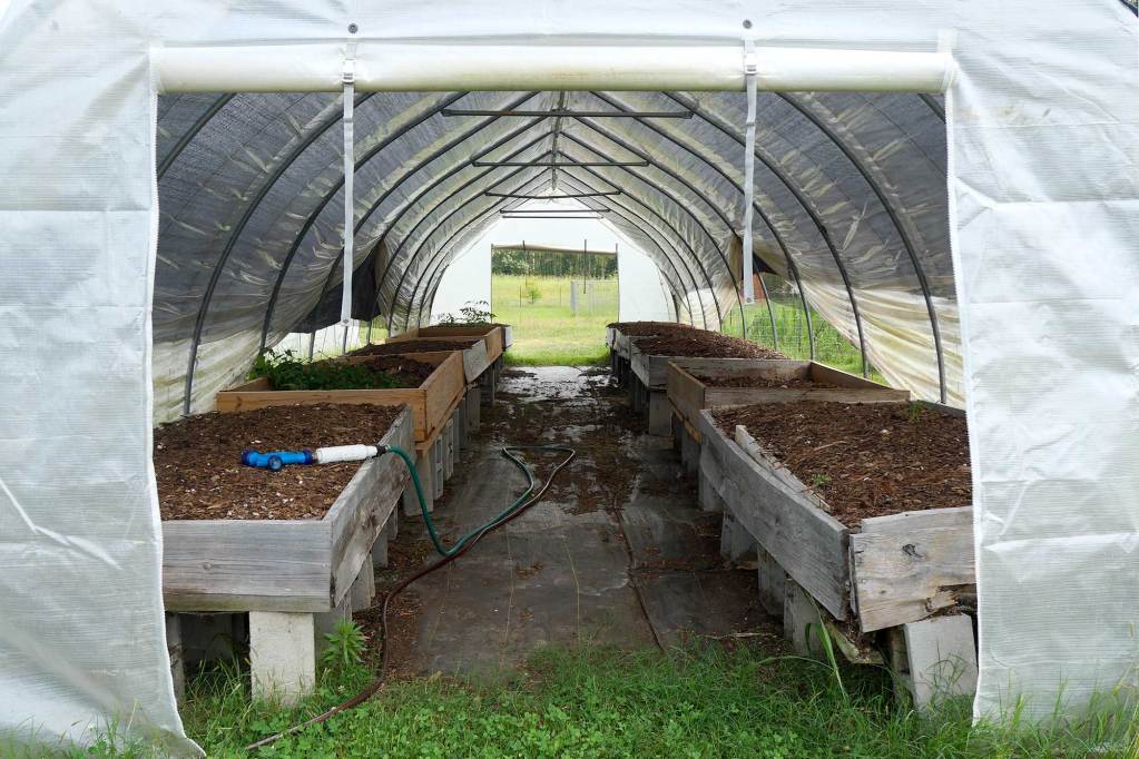 A view into a greenhouse, showing raised garden boxes inside